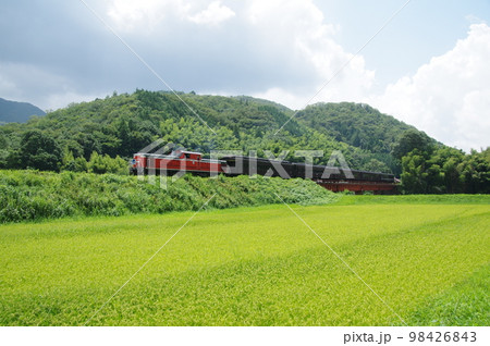 山口線 長門峡付近 DLやまぐち号 DD51 山口線 長門峡付近 DLやまぐち号 DD51 98426843