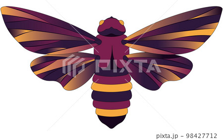 Colorful palette art, hand drawn cicada vector illustration Colorful palette art, hand drawn cicada vector illustration 98427712
