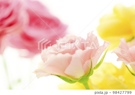 春のイメージの明るい華やかなかわいいピンクと黄色の花々 98427799