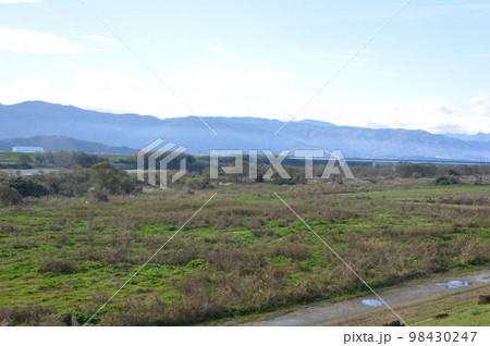 吉野川･左岸の土手道（徳島県上板町綾部） 98430247