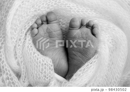 Close-up of tiny, cute, bare toes, heels and feet of a newborn girl, boy. Baby foot on soft coverlet, blanket. Detail of a newborn baby legs.Macro horizontal professional studio photo. Black and white 98430502