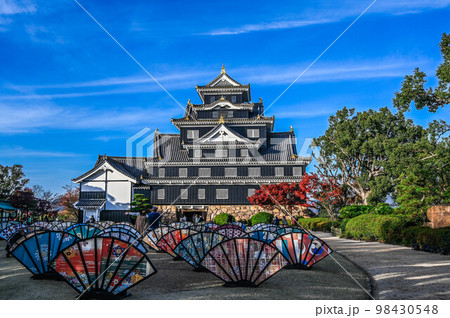 岡山城　紅葉とライトアップ　日本傘 98430548