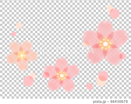 桜の花の淡色スタンプ素材イラスト 98430678