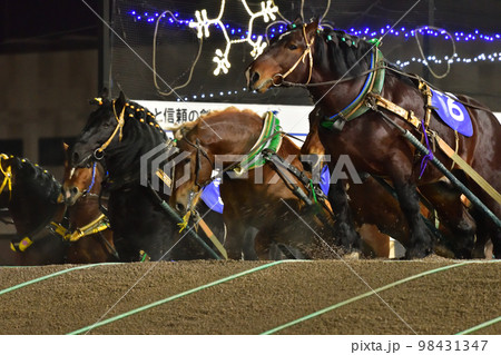 ばんえい競馬 98431347
