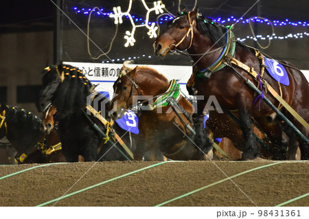 ばんえい競馬 98431361