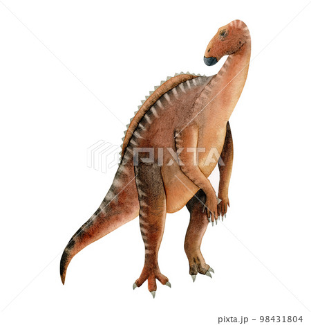 Iguanodon dinosaur watercolor illustration. Hand drawn realistic ancient herbivorous lizard isolated on white background 98431804