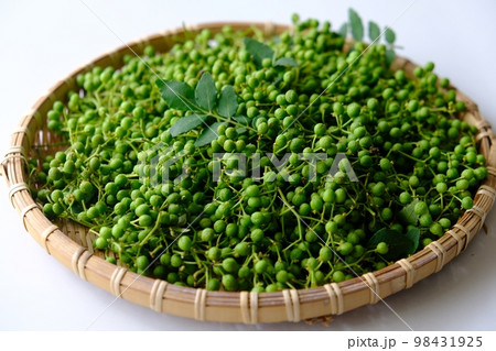 朝倉山椒の実 朝倉山椒の実 98431925