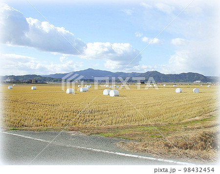 白いカバーの付いた藁ロールが並んでいる農閑期の田園風景（イラスト風） 98432454