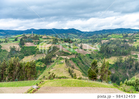 nature in the mountain landscape of Colombiaの写真素材 [98432459] - PIXTA