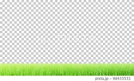 草坪背景圖像。春天，夏天的背景圖像。草地，草，自然。 (巴新) 98433531