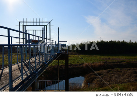 長楽樋管の管理橋（埼玉県川島町） 98434836