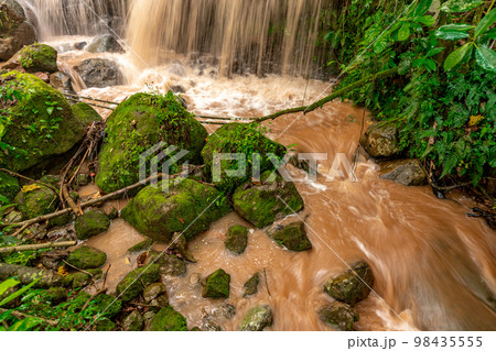 river with rain water in the rain forest 98435555