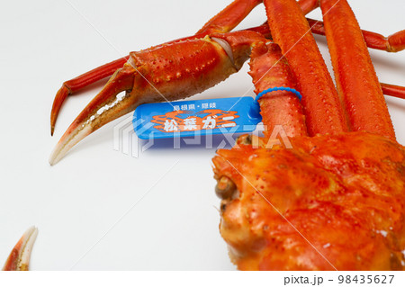 松葉ガニ タグ付き ズワイガニ 松葉ガニ タグ付き ズワイガニ 98435627
