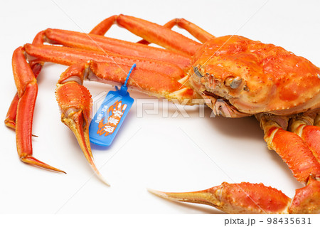 松葉ガニ タグ付き ズワイガニ 松葉ガニ タグ付き ズワイガニ 98435631