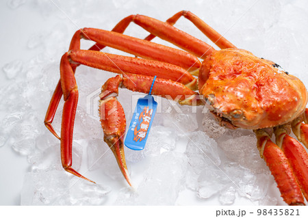 松葉ガニ　タグ付き　ズワイガニ 98435821