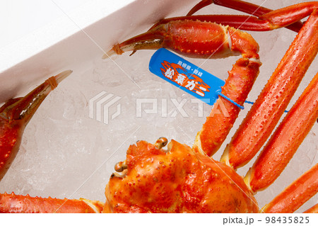 松葉ガニ タグ付き ズワイガニ 松葉ガニ タグ付き ズワイガニ 98435825