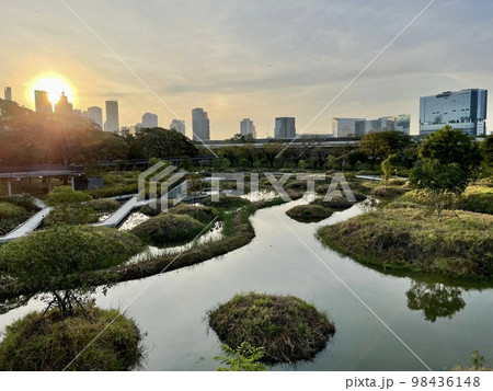 朝日とタイの公園 98436148