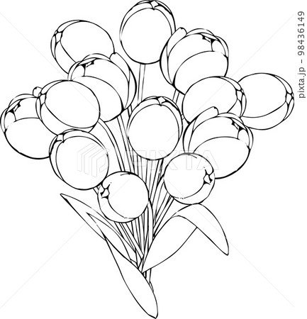 ペンで描いたチューリップの花束 ペンで描いたチューリップの花束 98436149