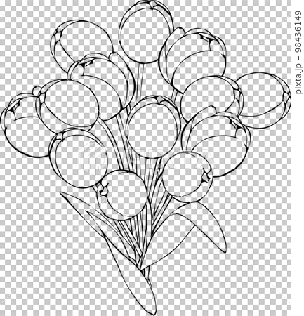 用筆劃的一束鬱金香 98436149