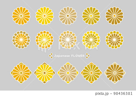 カラフルな和風の菊の花　イラスト　ベクター 98436381