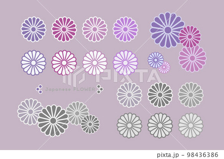 カラフルな和風の菊の花 イラスト ベクター カラフルな和風の菊の花 イラスト ベクター 98436386