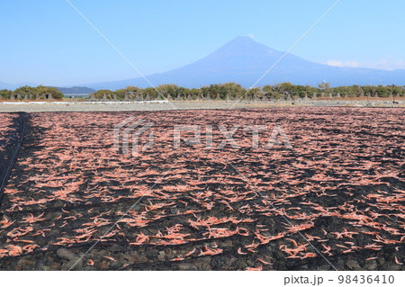 富士山とピンク色の桜エビ 富士山とピンク色の桜エビ 98436410