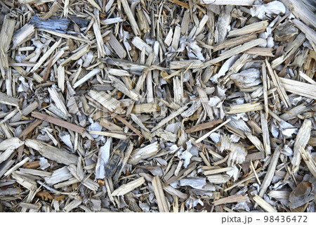 Sawdust and wood chips close-up. Wood chips as a background. 98436472