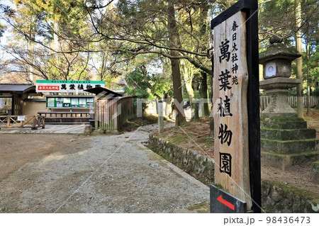 春日大社神苑・萬葉植物園（奈良県奈良市） 98436473
