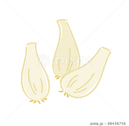 らっきょう らっきょう 98436756