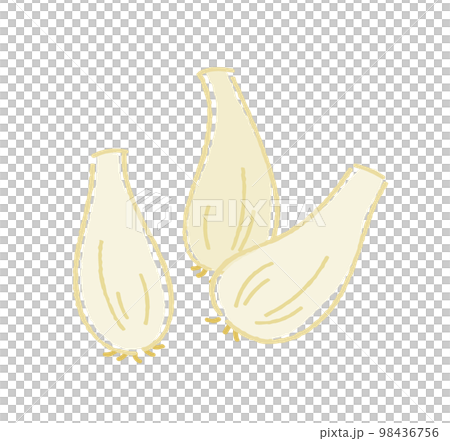 らっきょう らっきょう 98436756