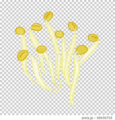 豆芽 豆芽 98436758