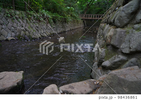 等々力渓谷、とどろき、渓谷、東京、日本、自然、オアシス、緑、木、水、川、等々力不動尊、神社、お寺、ふ 等々力渓谷、とどろき、渓谷、東京、日本、自然、オアシス、緑、木、水、川、等々力不動尊、神社、お寺、ふ 98436861