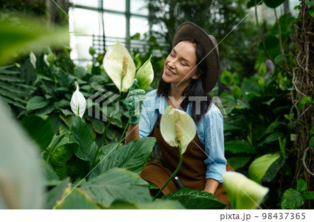 Portrait of young woman gardener admiring blooming callas 98437365