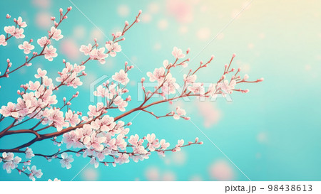 Beautiful cherry blossom or sakura tree branches on blue sky with copy space background in spring season. 98438613