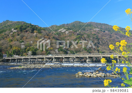 【京都府】満開の桜の嵐山渡月橋と菜の花 【京都府】満開の桜の嵐山渡月橋と菜の花 98439081