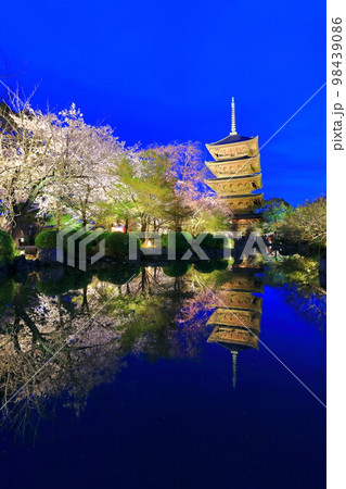 【京都府】東寺の満開夜桜(夜間特別拝観) 【京都府】東寺の満開夜桜(夜間特別拝観) 98439086