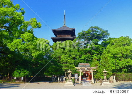 【京都府】新緑の東寺　五重塔 98439097