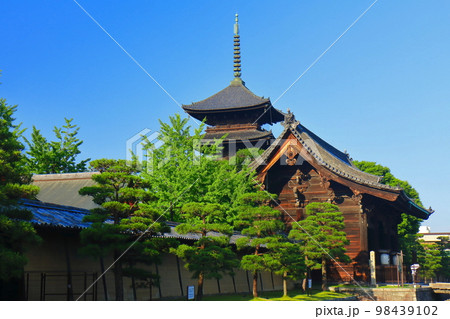【京都府】東寺 五重塔と南大門 【京都府】東寺 五重塔と南大門 98439102