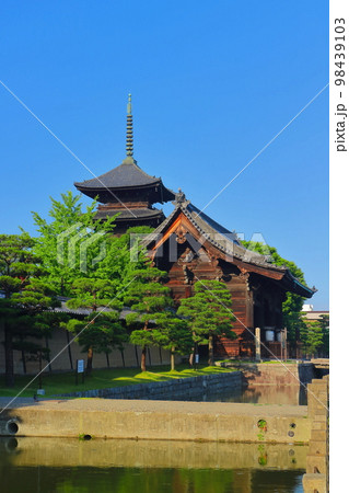 【京都府】東寺 五重塔と南大門 【京都府】東寺 五重塔と南大門 98439103