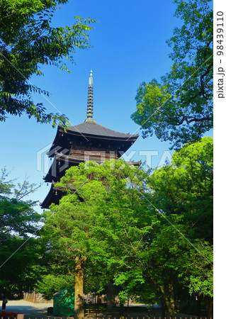 【京都府】新緑の東寺 五重塔 【京都府】新緑の東寺 五重塔 98439110