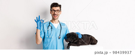 Happy male doctor veterinarian examining cute black dog pug, showing okay sign in approval, satisfied with animal health, standing over white background Happy male doctor veterinarian examining cute black dog pug, showing okay sign in approval, satisfied with animal health, standing over white background 98439937