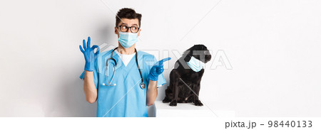 Funny black pug dog wearing medical mask, sitting near handsome veterinarian doctor showing okay sign, white background Funny black pug dog wearing medical mask, sitting near handsome veterinarian doctor showing okay sign, white background 98440133