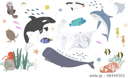 海の生き物セット 98440503