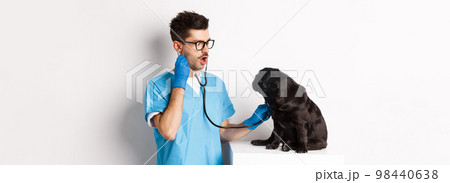 Image of handsome doctor in vet clinic examining dog health, checking pug lungs with stethoscope, standing over white background Image of handsome doctor in vet clinic examining dog health, checking pug lungs with stethoscope, standing over white background 98440638