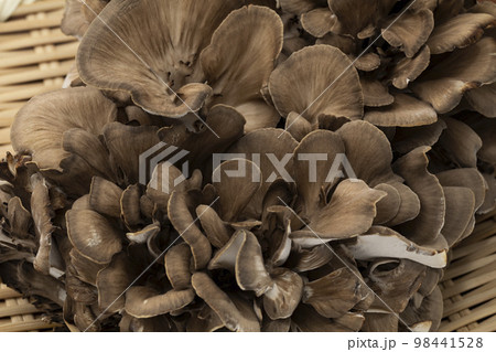 ざるに乗せたマイタケ 98441528