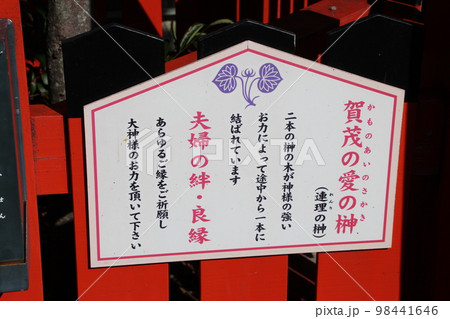 室津のまちなみ 賀茂神社 賀茂の愛の榊(連理の榊)の立て札 兵庫県たつの市御津町室津 室津のまちなみ 賀茂神社 賀茂の愛の榊(連理の榊)の立て札 兵庫県たつの市御津町室津 98441646