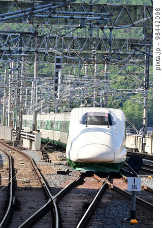 E2系 東北新幹線 200系カラー E2系 東北新幹線 200系カラー 98442098