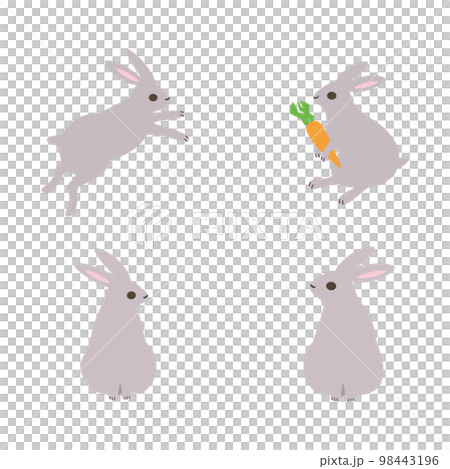 2023うさぎ素材ベク 2023うさぎ素材ベク 98443196