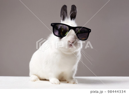 Funny fluffy rabbit in sunglasses. Easter bunny Funny fluffy rabbit in sunglasses. Easter bunny 98444334