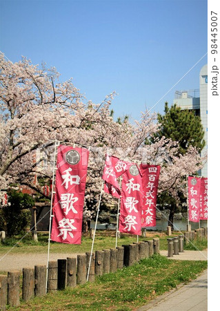 和歌山城と桜 98445007